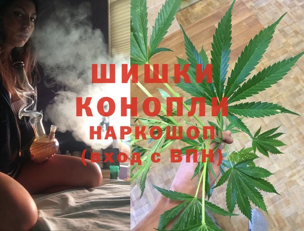 mix Богородицк